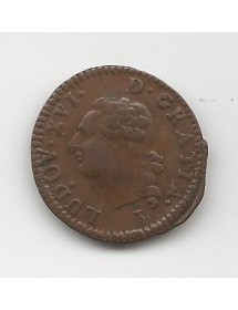 Liard Cuivre - Tête Nue 2