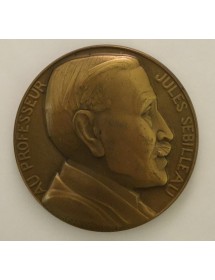 Médaille Bronze - Professeur Jules Sebilleau