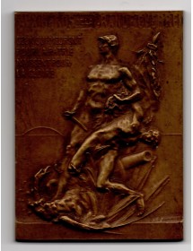 Médaille Bronze - Monument aux morts Cours Sully