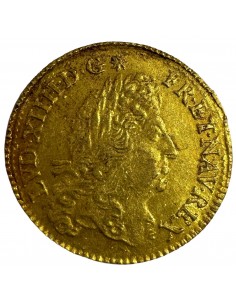 Portrait de Louis XIV tourné vers la droite, portant une longue perruque royale.