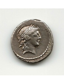 Denier - Minucius Thermus